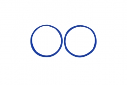 Silicone O-Ring